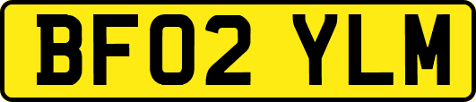 BF02YLM