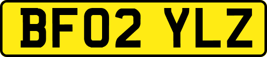 BF02YLZ