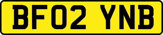 BF02YNB