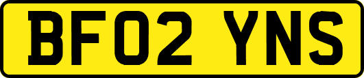 BF02YNS