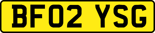 BF02YSG