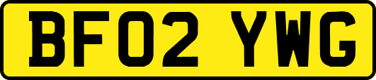 BF02YWG