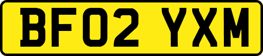 BF02YXM