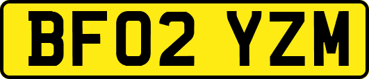 BF02YZM