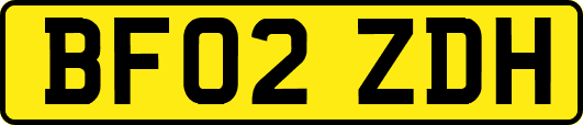 BF02ZDH
