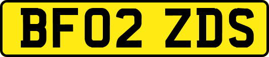 BF02ZDS
