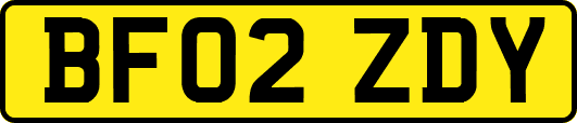 BF02ZDY