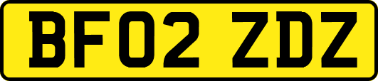 BF02ZDZ