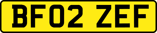 BF02ZEF