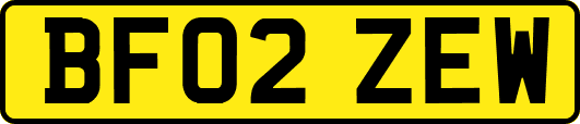 BF02ZEW