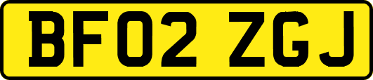 BF02ZGJ