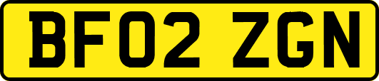 BF02ZGN