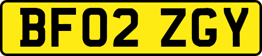 BF02ZGY