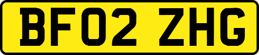BF02ZHG