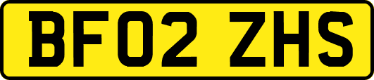 BF02ZHS