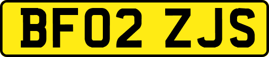 BF02ZJS