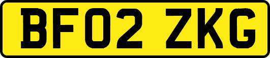 BF02ZKG