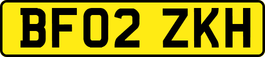 BF02ZKH