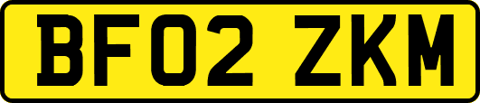 BF02ZKM
