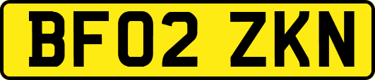 BF02ZKN