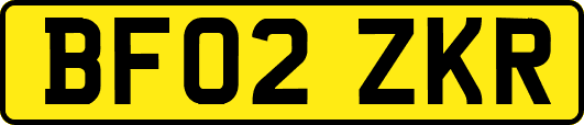 BF02ZKR