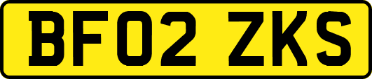 BF02ZKS