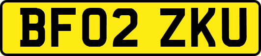 BF02ZKU