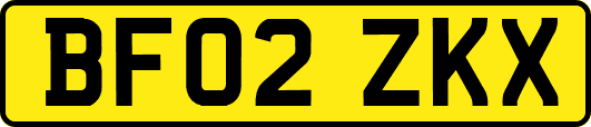 BF02ZKX