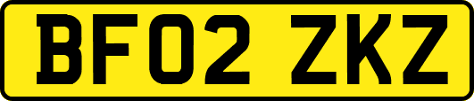 BF02ZKZ