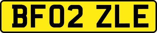 BF02ZLE