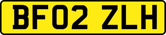 BF02ZLH