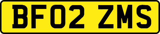 BF02ZMS