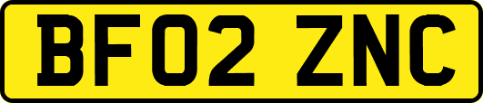 BF02ZNC