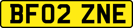 BF02ZNE
