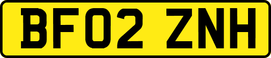 BF02ZNH