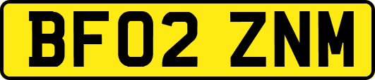 BF02ZNM