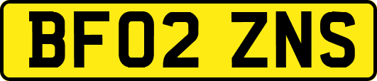 BF02ZNS