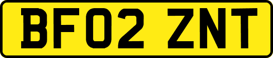 BF02ZNT