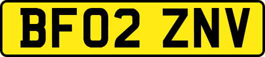 BF02ZNV