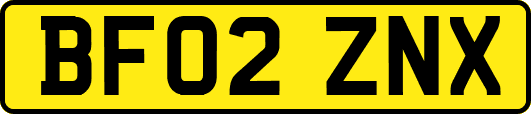 BF02ZNX