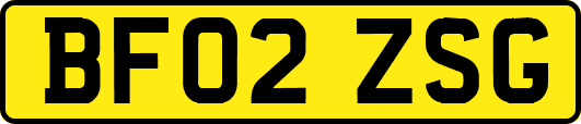 BF02ZSG