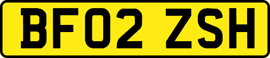 BF02ZSH
