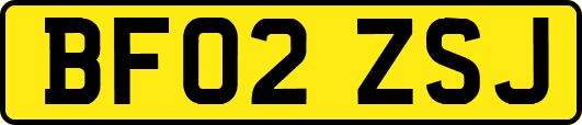 BF02ZSJ