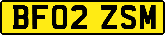 BF02ZSM