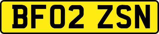 BF02ZSN