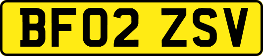 BF02ZSV