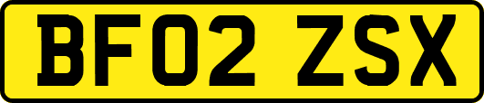 BF02ZSX