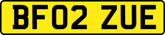 BF02ZUE