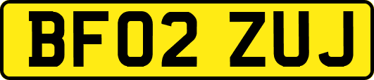 BF02ZUJ