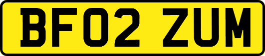 BF02ZUM